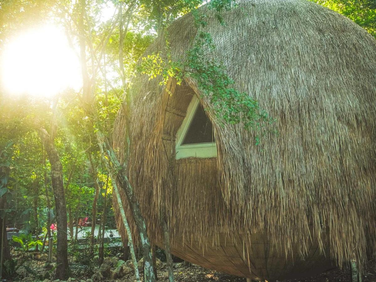 Casa Del Arbol At Villa Duendes Akumal Exteriör bild